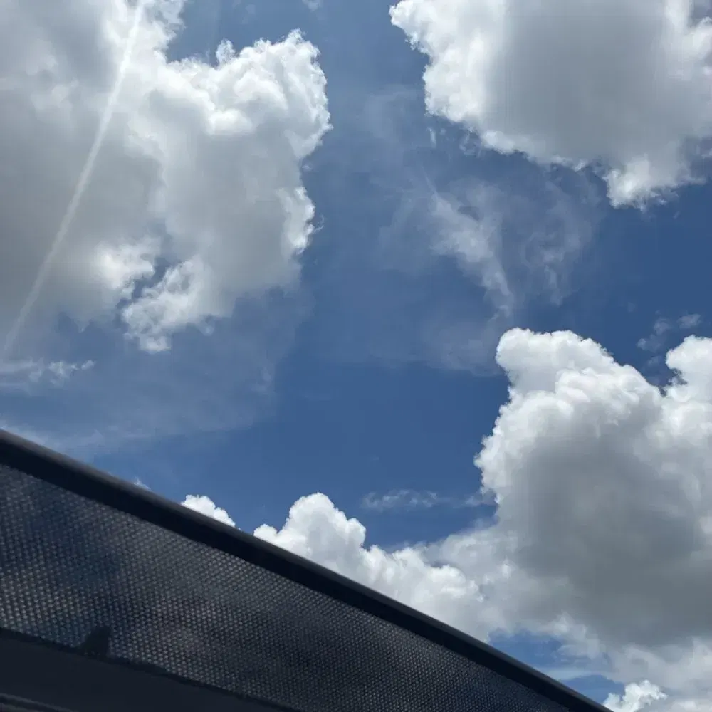 2024 Lincoln Navigator Premiere