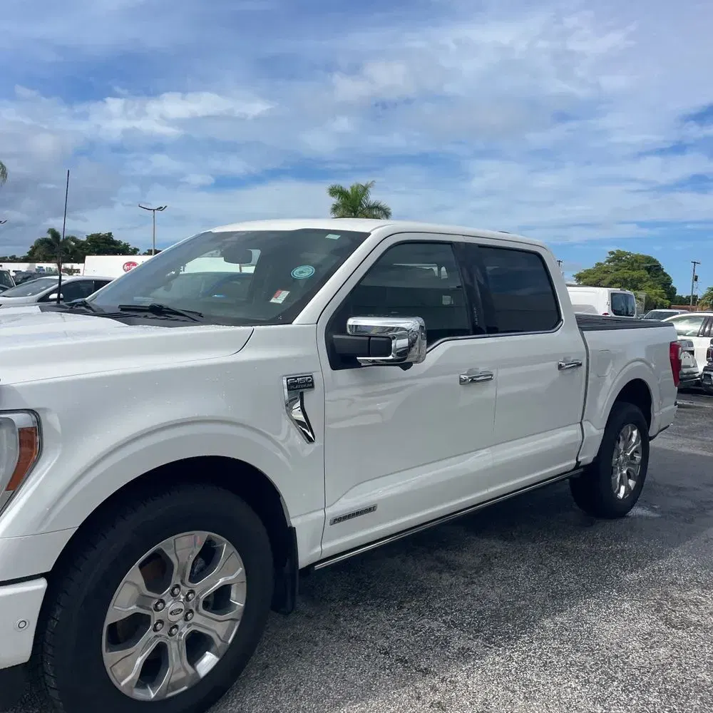 2022 Ford F-150 Platinum