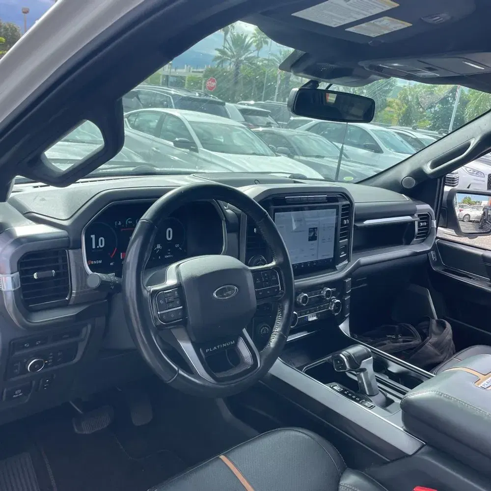 2022 Ford F-150 Platinum