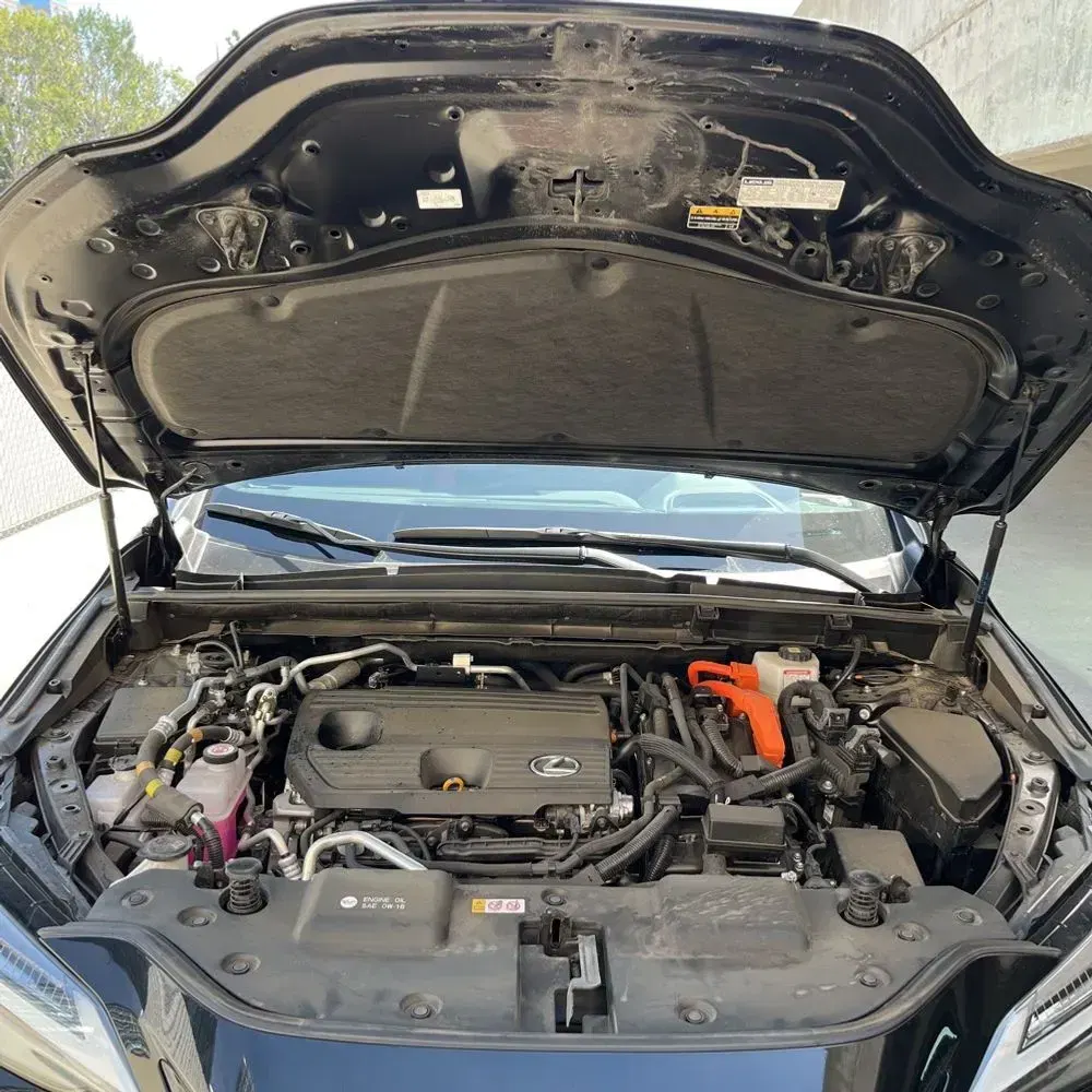 2024 Lexus NX 450h+ F SPORT Handling