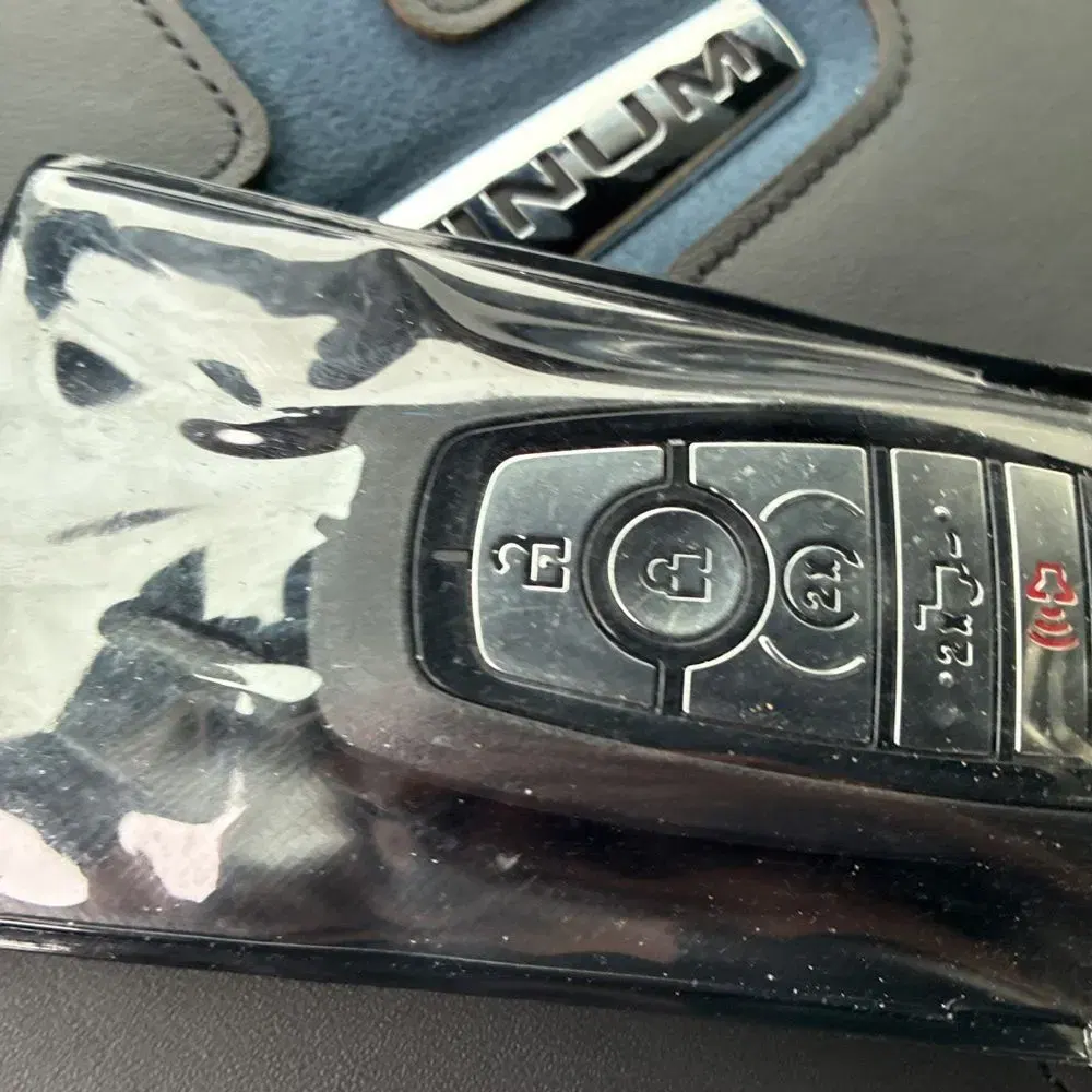 2025 Ford F450SD Platinum