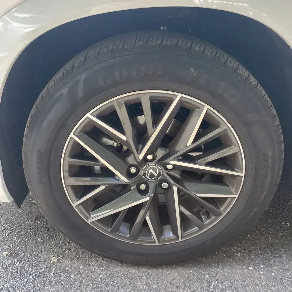 2025 Lexus TX 350 Premium