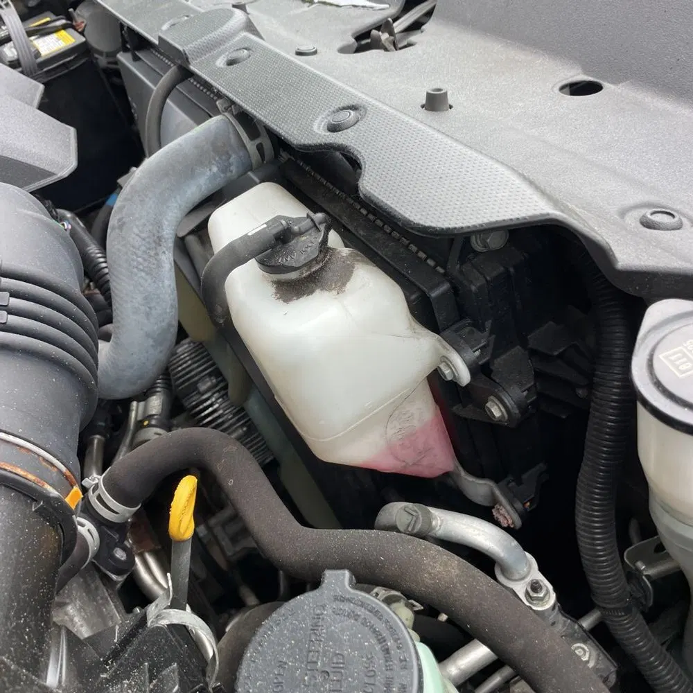 2019 Toyota 4Runner TRD Pro