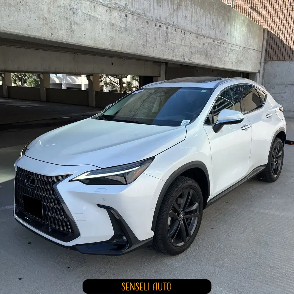 2022 Lexus NX 450h+ Base