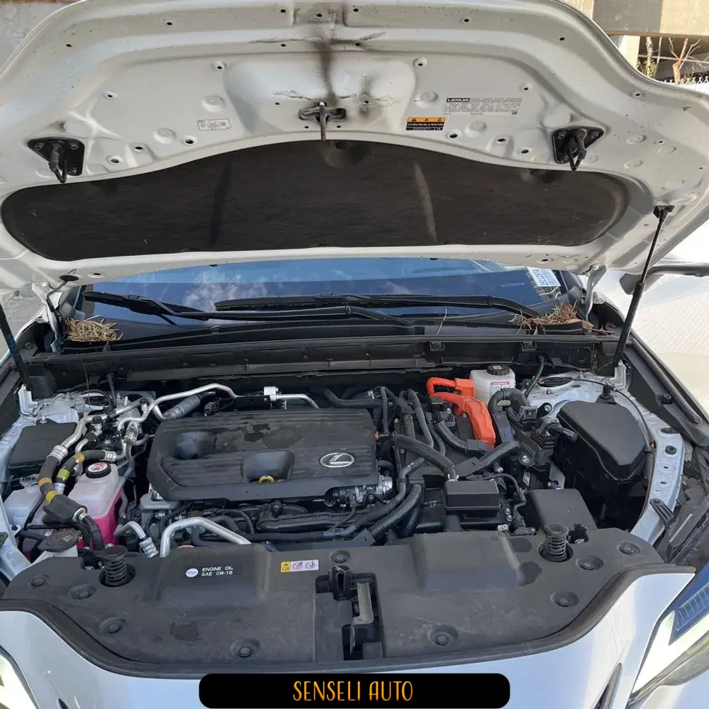 2022 Lexus NX 450h+ Base