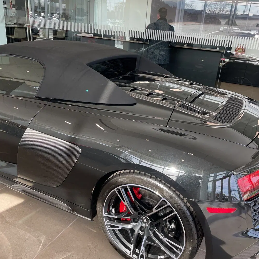 2021 Audi R8 V10 PerformanceSpydr