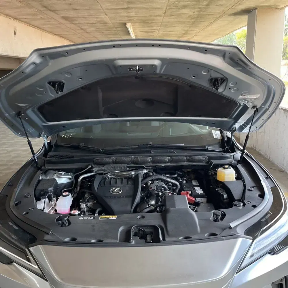 2023 Lexus RX 350 Luxury