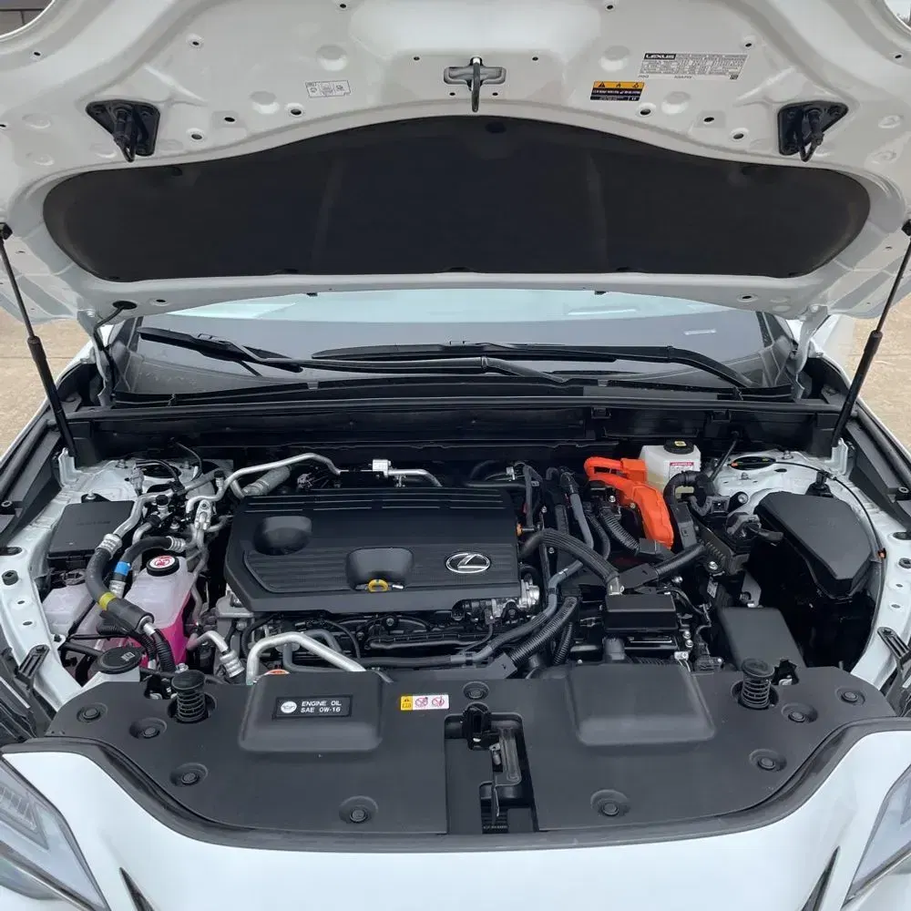 2025 Lexus NX 450h+ F SPORT Handling