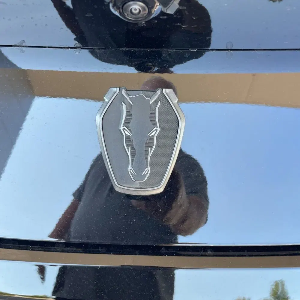 2024 Ford Mustang Dark Horse