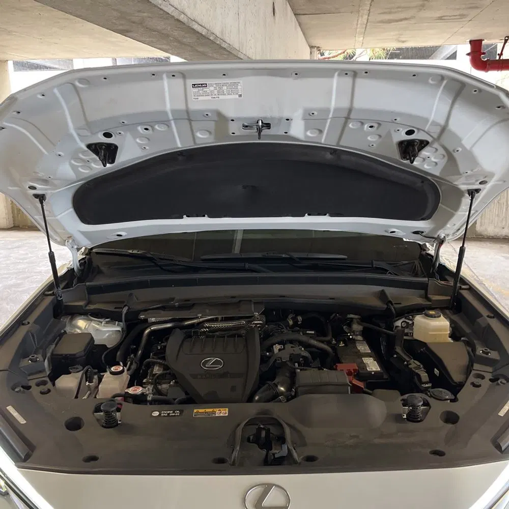 2024 Lexus TX 350 Premium