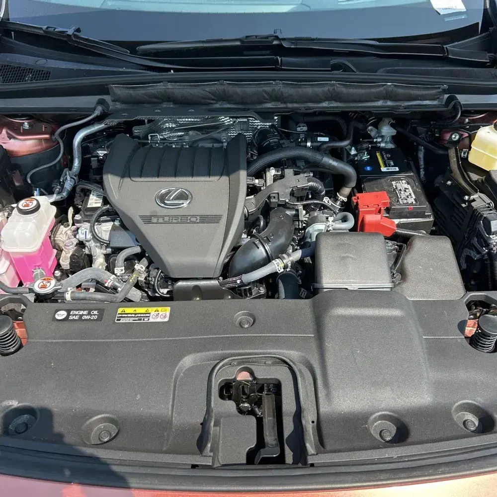 2024 Lexus RX 350 Premium+