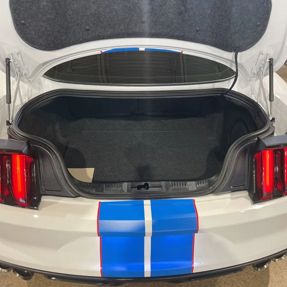 2019 Ford Mustang Shelby GT350