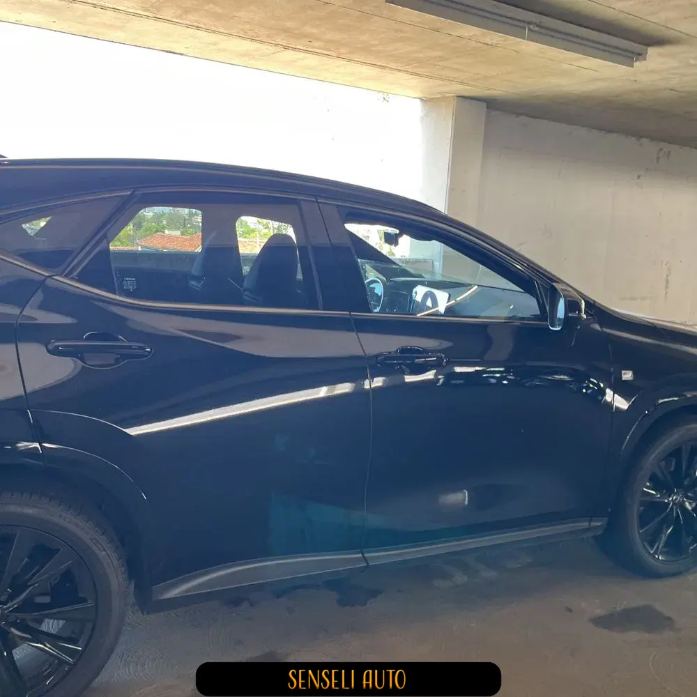 2024 Lexus NX 450h+ F SPORT Handling