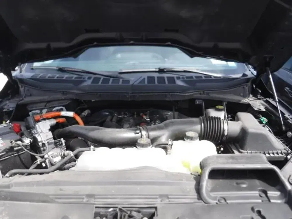 2024 Ford F-150 XL Hybrid