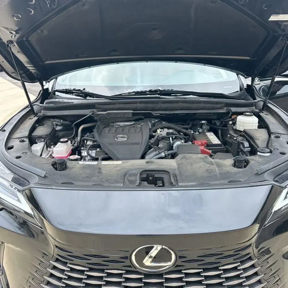 2023 Lexus RX 350 Premium