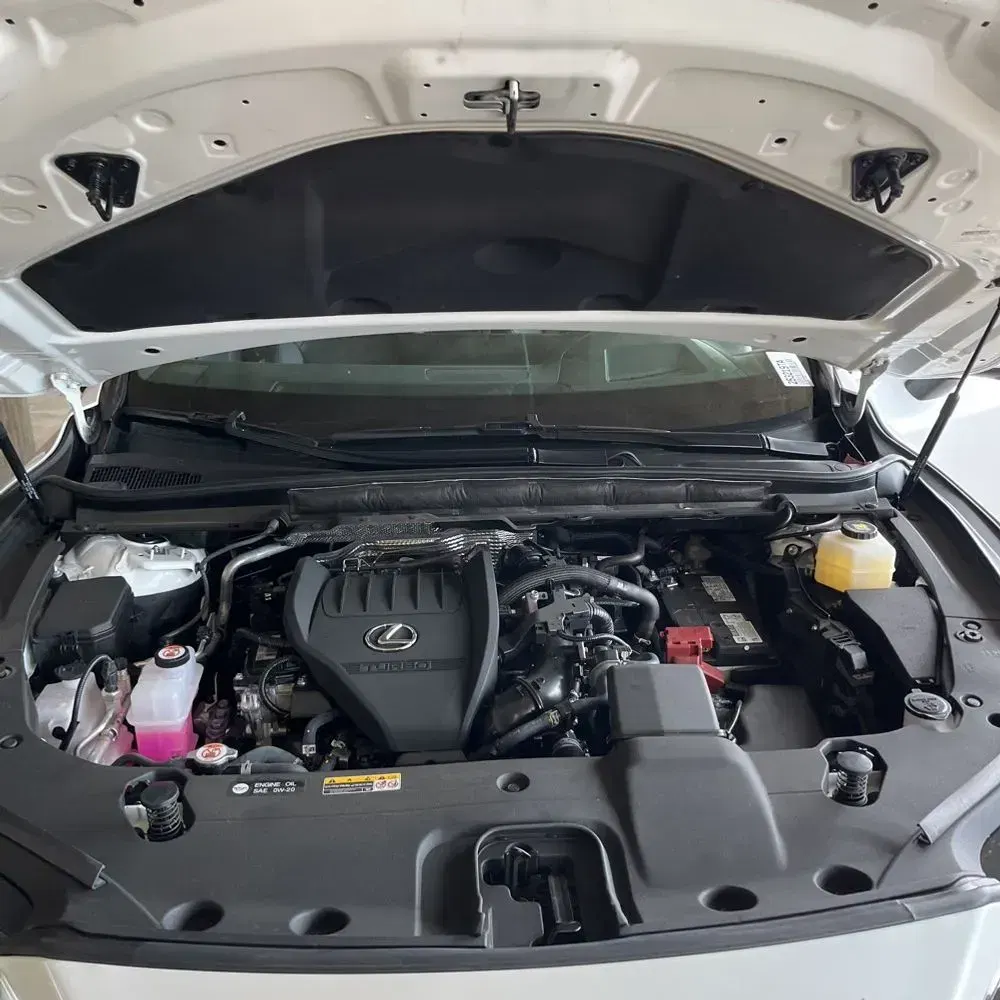 2024 Lexus RX 350 Premium+
