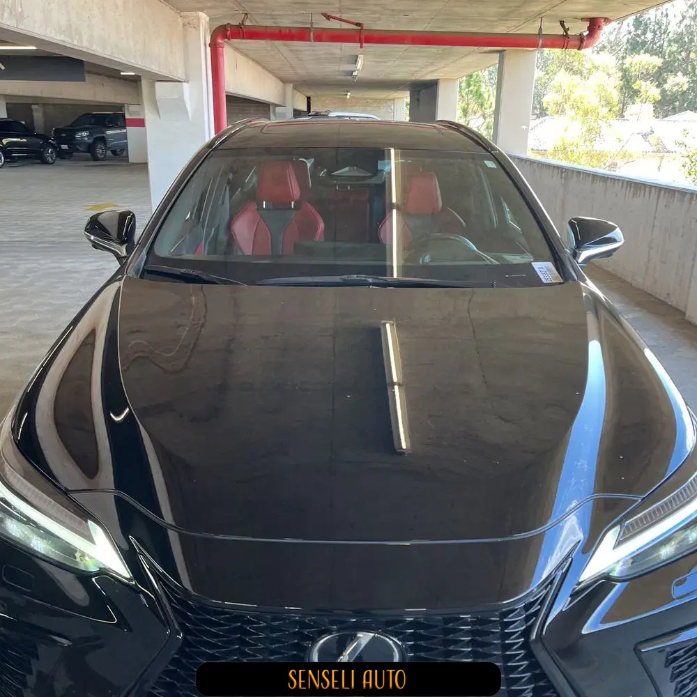 2024 Lexus NX 450h+ F SPORT Handling