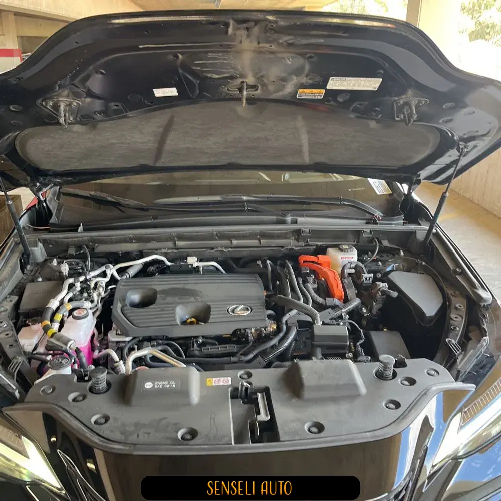 2024 Lexus NX 450h+ F SPORT Handling