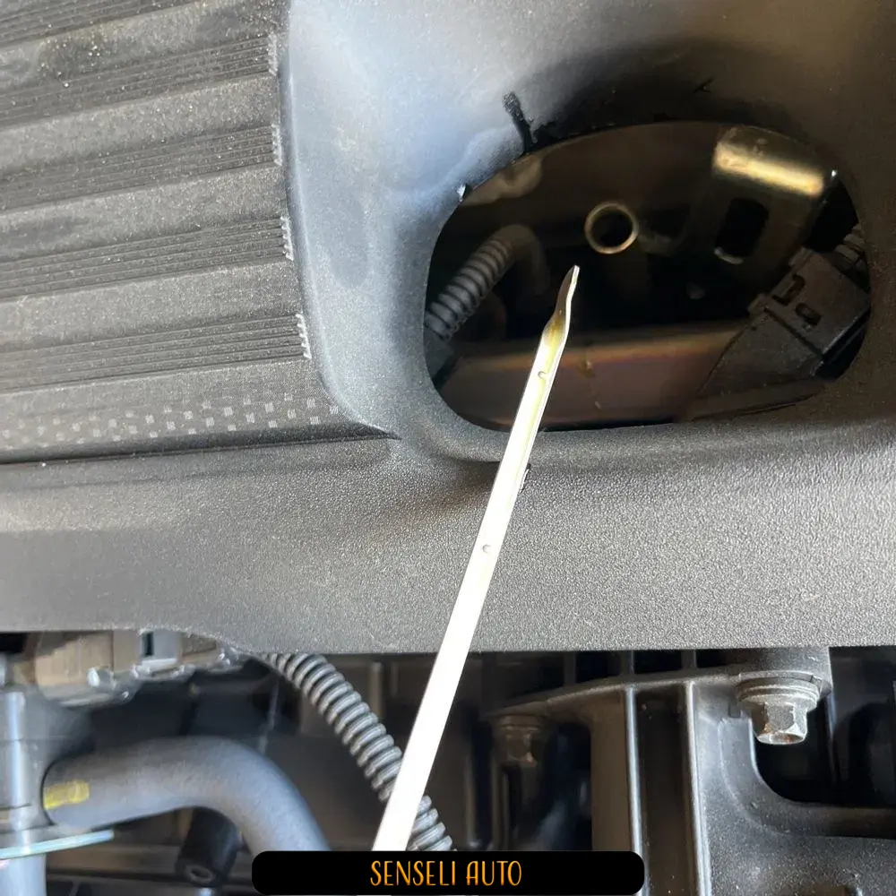 2024 Lexus NX 450h+ F SPORT Handling