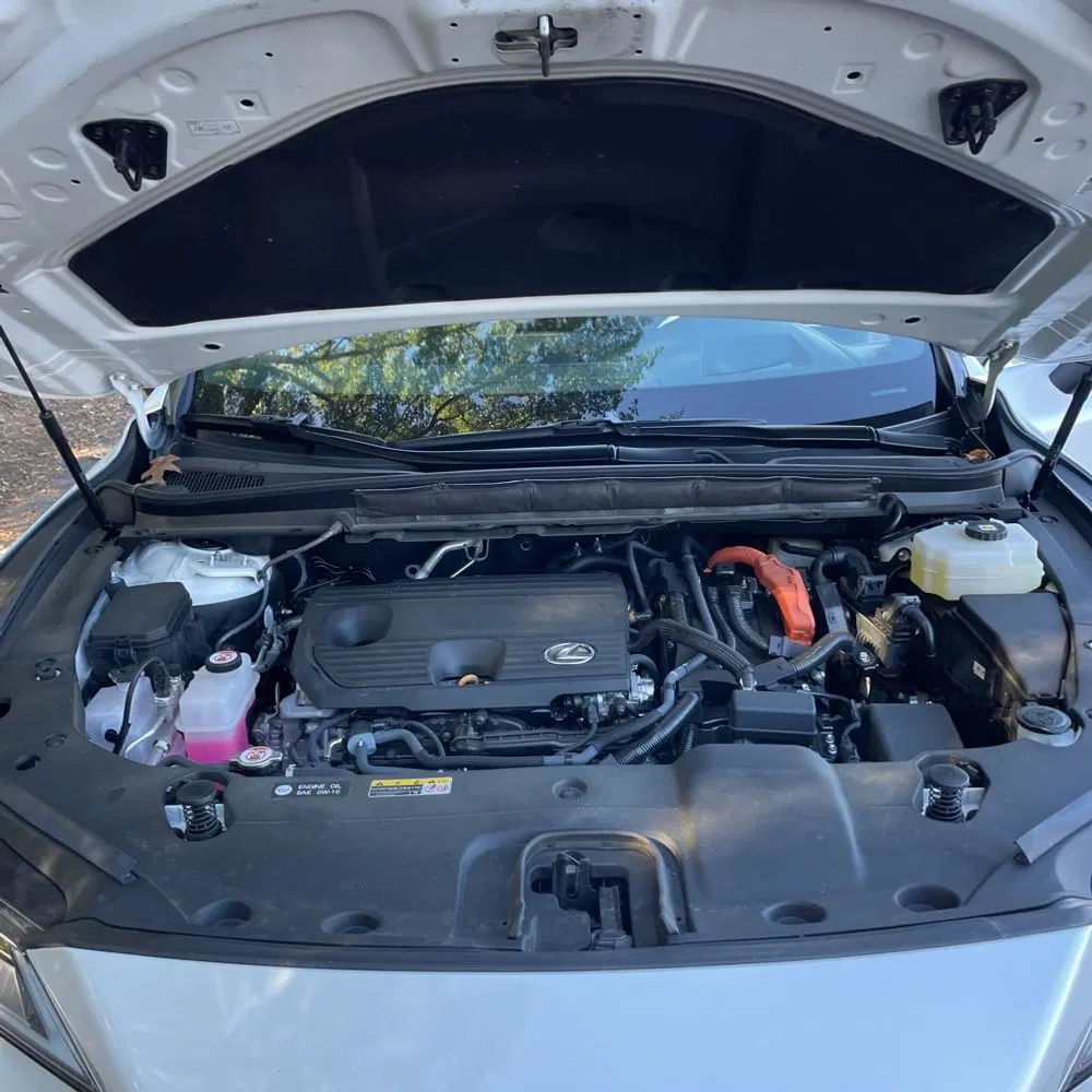 2024 Lexus RX 350h Luxury